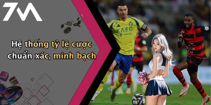 Hệ thống tỷ lệ cược chuẩn xác, minh bạch