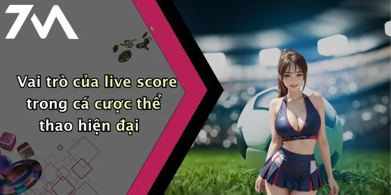 Vai trò của live score trong cá cược thể thao hiện đại